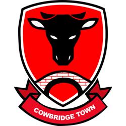 Cowbridge Town AFC logo