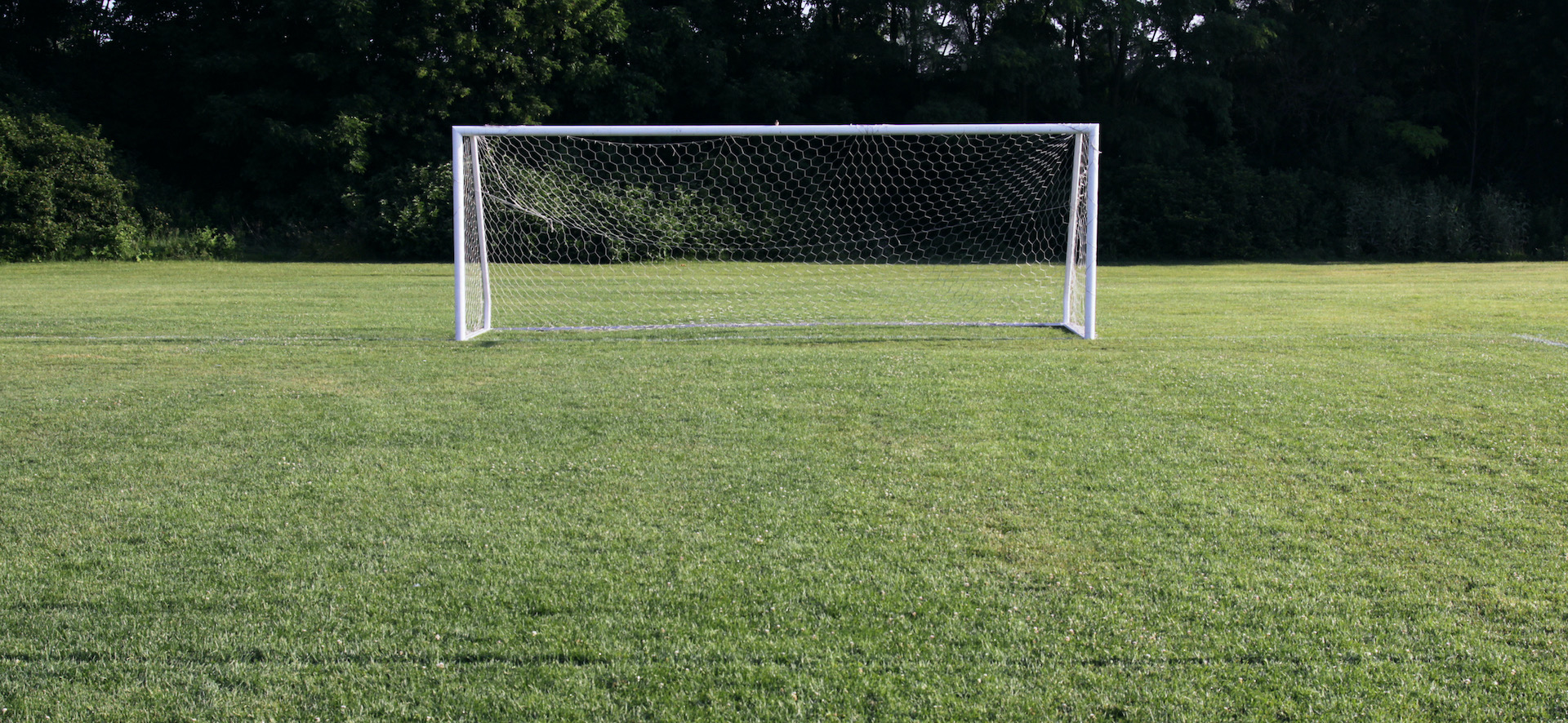 An empty, grass football field. The camera is looking at an open goalmouth.